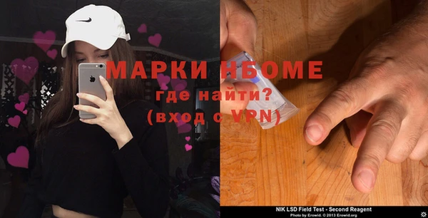 шишки Верея
