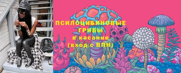 шишки Верея