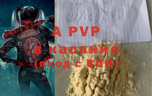 шишки Верея