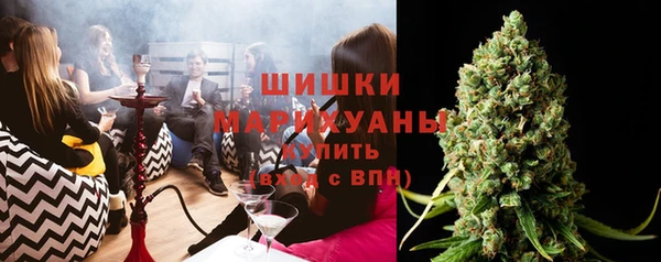 шишки Верея