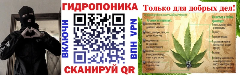 Конопля планчик  как найти закладки  Выборг 